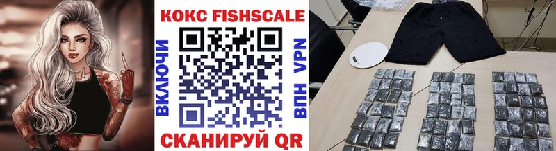 КОКАИН FishScale  купить наркотики цена  Магас 
