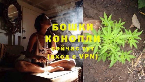 дурь Аркадак