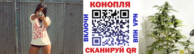 наркошоп  Магас  Бошки марихуана сатива 